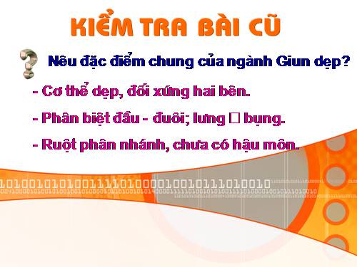 Bài 13. Giun đũa