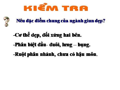 Bài 13. Giun đũa