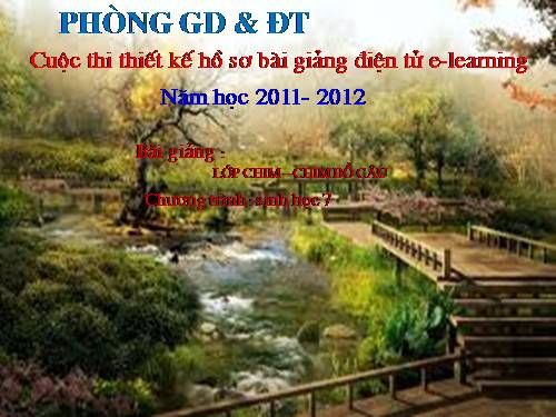 Bài 41. Chim bồ câu