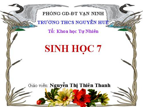 Bài 7. Đặc điểm chung và vai trò thực tiễn của Động vật nguyên sinh