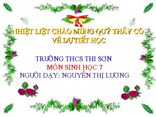 Bài 27. Đa dạng và đặc điểm chung của lớp Sâu bọ