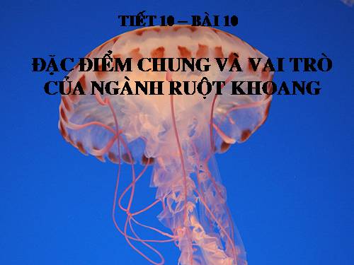 Bài 10. Đặc điểm chung và vai trò của ngành Ruột khoang