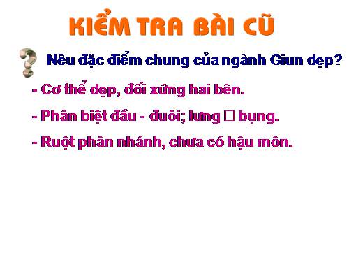 Bài 13. Giun đũa