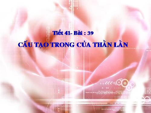 Bài 39. Cấu tạo trong của thằn lằn