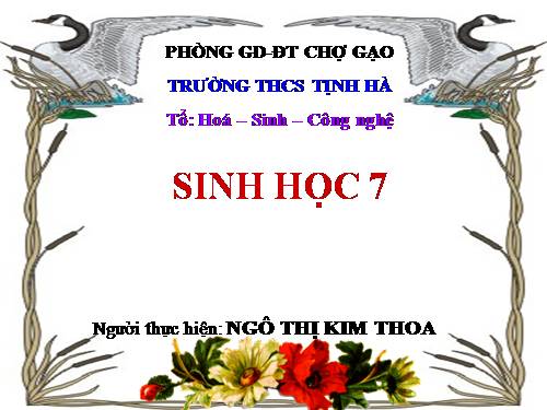 Bài 7. Đặc điểm chung và vai trò thực tiễn của Động vật nguyên sinh