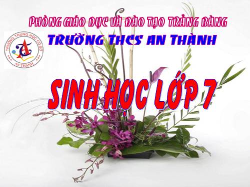 Bài 9. Đa dạng của ngành Ruột khoang