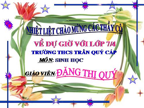 Bài 26. Châu chấu