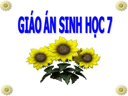 Bài 25. Nhện và sự đa dạng của lớp Hình nhện