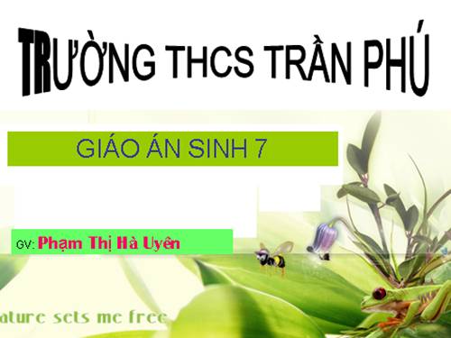 Bài 29. Đặc điểm chung và vai trò của ngành Chân khớp