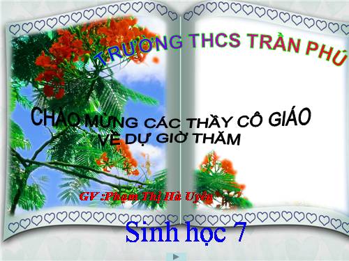 Bài 20. Thực hành: Quan sát một số thân mềm