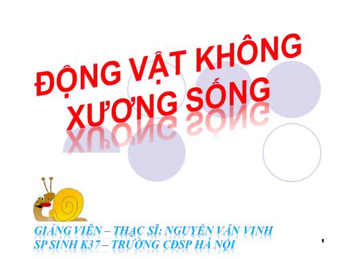 Bài 21. Đặc điểm chung và vai trò của ngành Thân mềm