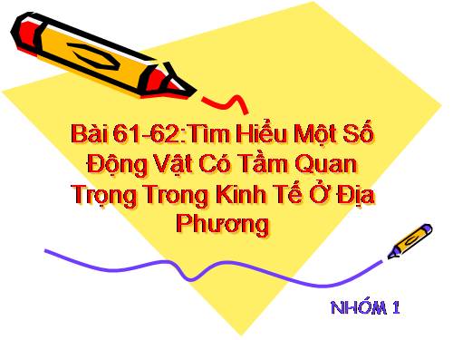 Bài 61. Tìm hiểu một số động vật có tầm quan trọng trong kinh tế ở địa phương