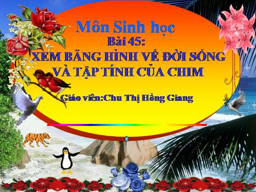 Bài 45. Thực hành: Xem băng hình về đời sống và tập tính của chim