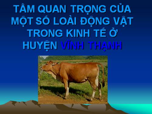 Bài 62. Tìm hiểu một số động vật có tầm quan trọng trong kinh tế ở địa phương