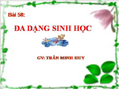 Bài 58. Đa dạng sinh học (tiếp theo)