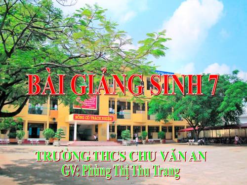 Bài 37. Đa dạng và đặc điểm chung của lớp Lưỡng cư