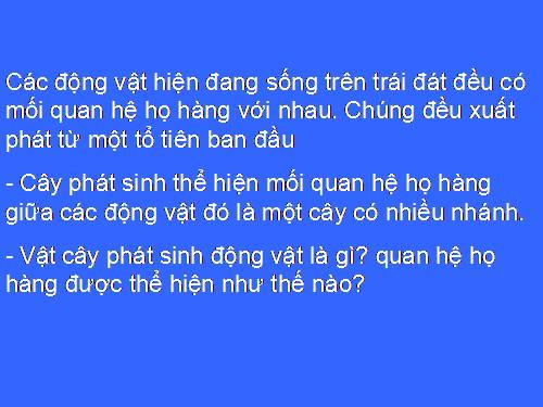 Bài 56. Cây phát sinh giới Động vật