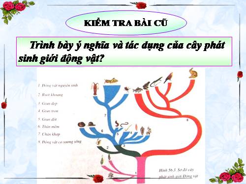 Bài 57. Đa dạng sinh học