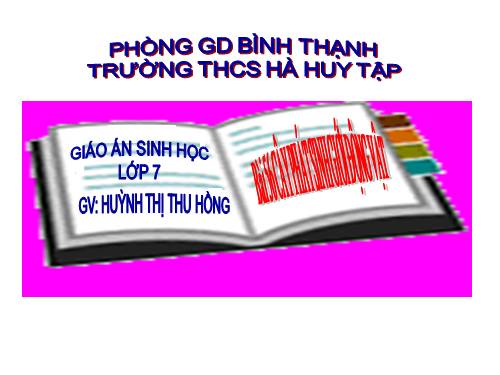 Bài 56. Cây phát sinh giới Động vật