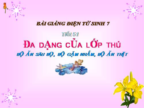 Bài 50. Đa dạng của lớp Thú: Bộ Ăn sâu bọ, bộ Gặm nhấm, bộ Ăn thịt