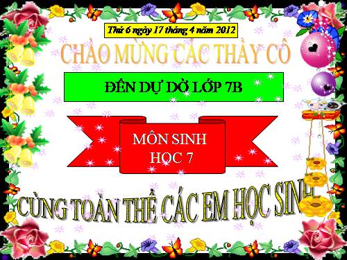 Bài 56. Cây phát sinh giới Động vật