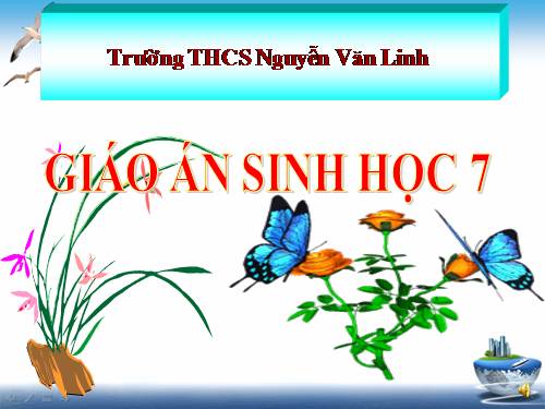 Bài 55. Tiến hoá về sinh sản