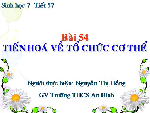 Bài 54. Tiến hoá về tổ chức cơ thể