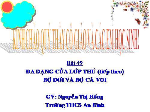 Bài 49. Đa dạng của lớp Thú: Bộ Dơi và bộ Cá voi