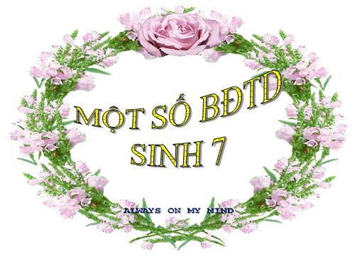 MỘT SỐ BDTD LỚP 7 HAY