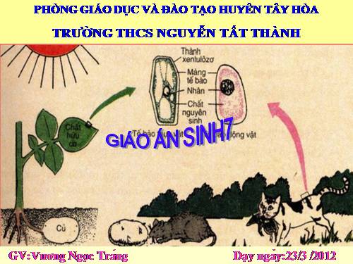 SINH 7 TIẾT 58