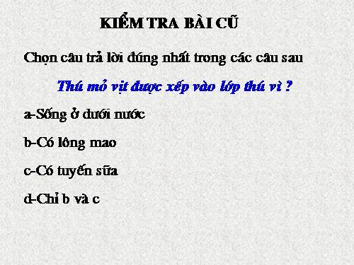 Bài 49. Đa dạng của lớp Thú: Bộ Dơi và bộ Cá voi