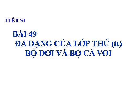 Bài 49. Đa dạng của lớp Thú: Bộ Dơi và bộ Cá voi