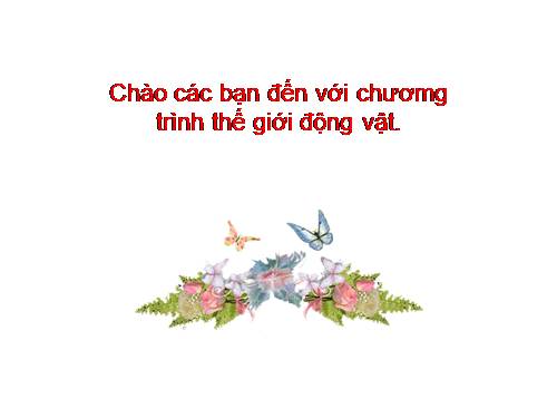 những loài động vật