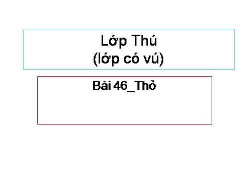 Bài 46. Thỏ