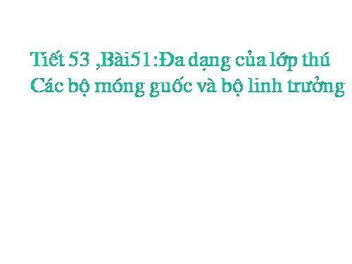 Bài 51. Đa dạng của lớp Thú: Các bộ Móng guốc và bộ Linh trưởng