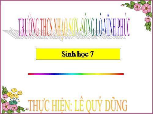 Bài 50. Đa dạng của lớp Thú: Bộ Ăn sâu bọ, bộ Gặm nhấm, bộ Ăn thịt