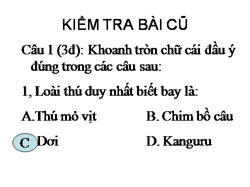 Bài 50. Đa dạng của lớp Thú: Bộ Ăn sâu bọ, bộ Gặm nhấm, bộ Ăn thịt