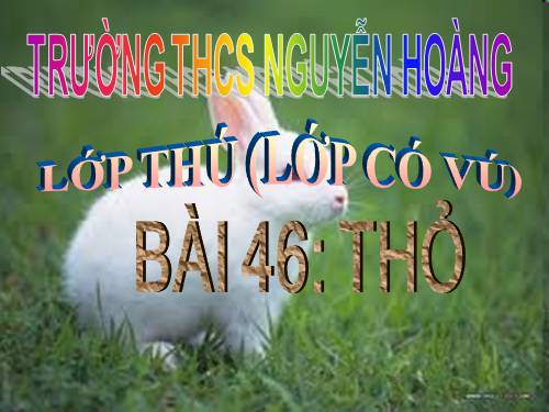 Bài 46. Thỏ