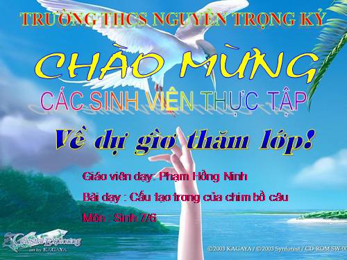 Bài 43. Cấu tạo trong của chim bồ câu