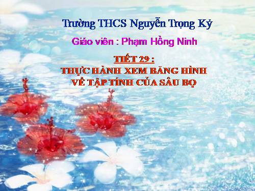 Bài 28. Thực hành: Xem băng hình về tập tính của sâu bọ