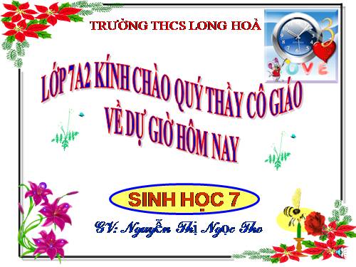 Bài 46. Thỏ