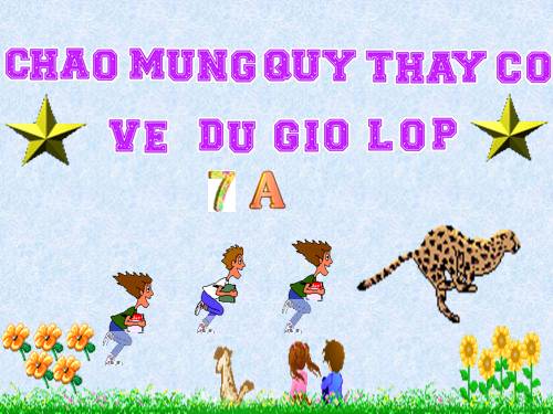 Bài 49. Đa dạng của lớp Thú: Bộ Dơi và bộ Cá voi