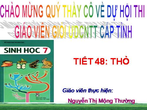 Bài 46. Thỏ