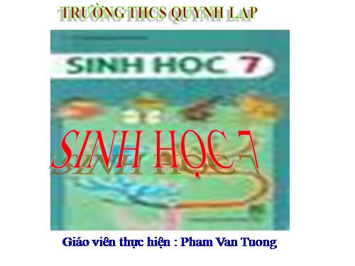 Bài 43. Cấu tạo trong của chim bồ câu