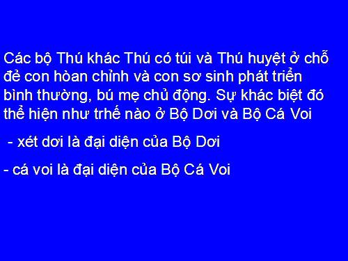 Bài 49. Đa dạng của lớp Thú: Bộ Dơi và bộ Cá voi