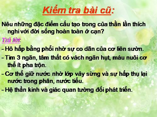 Bài 40. Đa dạng và đặc điểm chung của lớp Bò sát