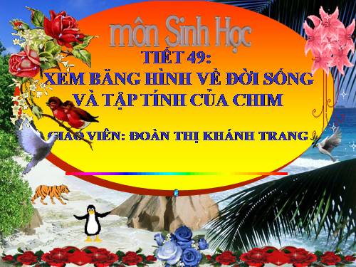 Bài 45. Thực hành: Xem băng hình về đời sống và tập tính của chim