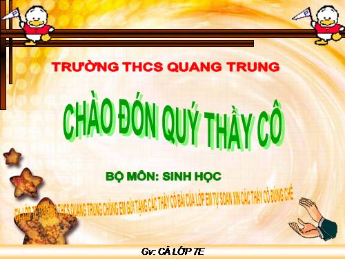 Bài 41. Chim bồ câu