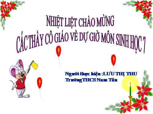 Bài 47. Cấu tạo trong của thỏ