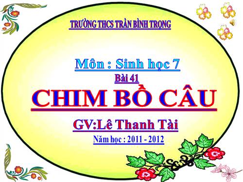 Bài 41. Chim bồ câu